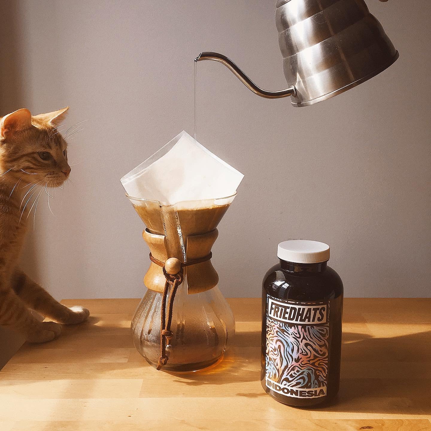 Chemex e o gato do café